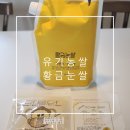 쌀집아저씨 | 현미와 백미 중간인 7분도쌀 비교 2kg 소포장 황금눈쌀 쌀집아저씨