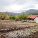 천반산민박 이미지