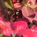 한옥솔솔 이미지