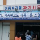 안강제일유치원 이미지