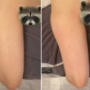 나예뷰티 | 대전 내동 바본관리 가성비 좋게 받는 나예뷰티