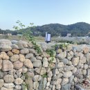 스테이돌담 이미지