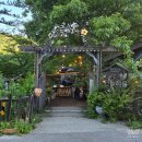 민들레울 | 거창 한달살이 중 찾은 아이 물놀이 가능한 거창 카페 민들레울 후기