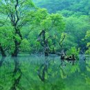 ＜주산지 사전＞어울림을 알고 싶거든 우리말 사전 대신 주산지 사전을 이미지
