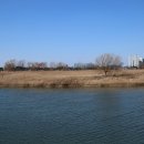 배곧생명공원 이미지