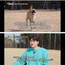 농장의집(영양탕) 이미지