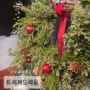 트레져드레옹