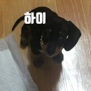 잭슨후라이드치킨신세계부산