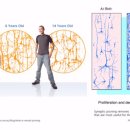브레인피트니스 이미지