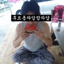 가평 다이빙 명지계곡 추천 가람유원지 펜션 후기