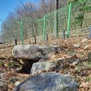 운학동 돌방무덤 이미지