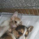 세광상사 이미지