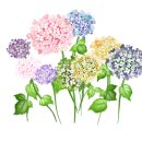 자경목장 이미지