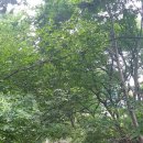 도깨비 계곡산장 이미지