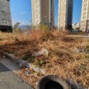 임당지구1 이미지