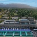 엠버호텔 | 제주 숲 속 힐링, 엠버 퓨어힐 호텔 후기