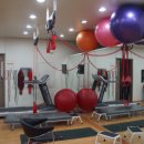 울산엘에스센터 | 울산 체형교정 고민이라면? 직접 다녀온 울산엘에스센터 후기