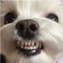 톡톡사랑니치과의원 이미지