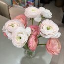 항사농장 이미지