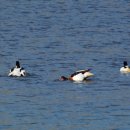 수남공원 이미지