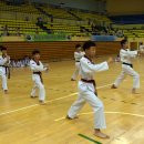 화랑2체육관 Daum카페
