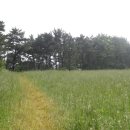 함박산목장 이미지