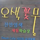 오색꽃물