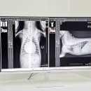 더에스동물병원 이미지