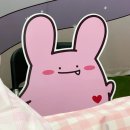 라빗플래닛 이미지