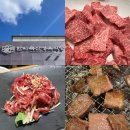 참좋은축산 | [대구] 월성동 한라축산정육식당 - 룸에서 회식 , 모임 하기 좋은 한우 맛집 내돈내산 후기 ꕀ ✿