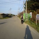 가야1리 (가야교회 버스 정류장) 이미지