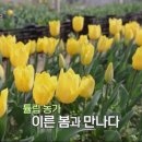 윤정 농장 이미지