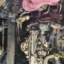 성강카서비스 이미지