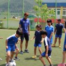 무릉초등학교 이미지