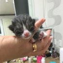 설아네일 이미지