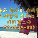 뱀들아 독사의 새끼들아 너희가 어떻게 지옥의 판결을 피하겠느냐 이미지