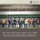 소소농장 정책브리핑