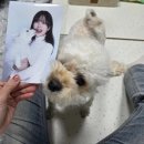 포유(for you) | 동대문 메이크업 더예쁨 for you 메이크업, 온앤포유 스튜디오 후기