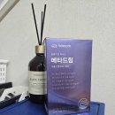 드림메타
