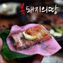 복돼지삼겹살 - 음성군 | 복돼지삼겹살