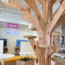 냥이 싸롱 | 청주 성안길 데이트 추천 &#34;냥이싸롱&#34; 고양이 카페 주차 (내돈내산)