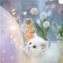 아줌마옷수선
