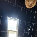 두바다찬솔 이미지