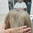 궁달언니 이미지