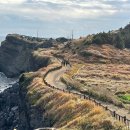 하모리-20 이미지