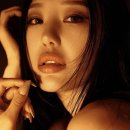 케익은! 이미지