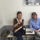시지탑연합비뇨기과의원 Daum카페