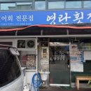 계절의 맛 명성 | 여름 보양으로 제격인 목포 영란식당 민어 코스 후기 (목포맛집 명성 그대로!)