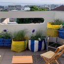 괄호 스테이 이미지