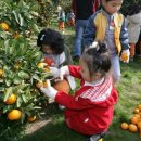 다연농장 이미지